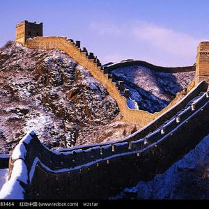 欧洲美女与性动交ccoo毛茸茸
