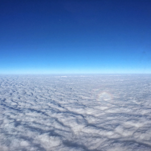 欧洲美女与性动交ccoo毛茸茸
